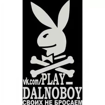 Наклейка Play Dalnoboy белая 17х32см_